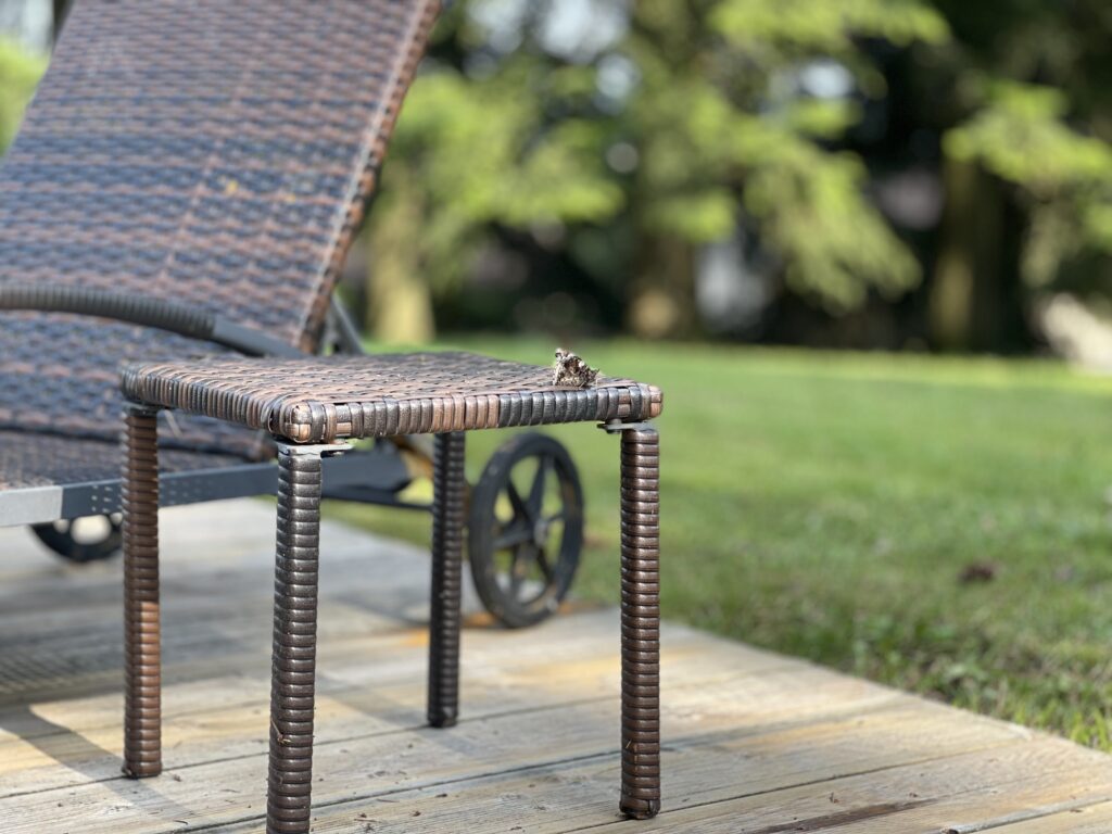 Cabane de luxe en bois
