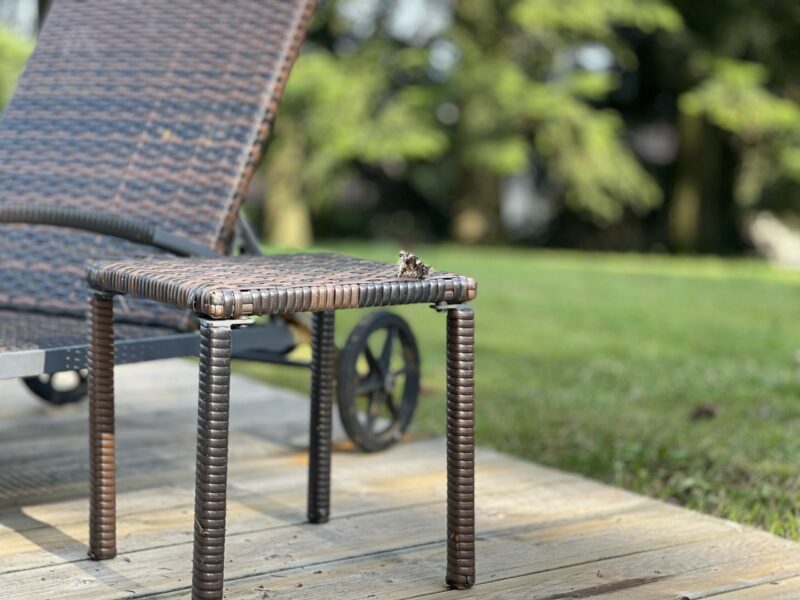 Cabane de luxe en bois